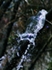 Luis_6680