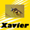Xavigumar