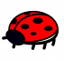 Ladybird