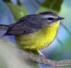 hull