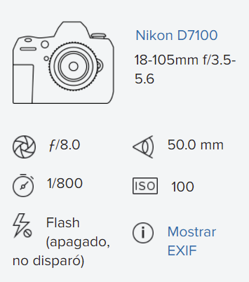 image.png.bfbc1b5c91aec7e7e1cfd779b4a1692e.png