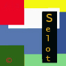 Selot