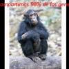 andres18