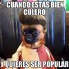 paradogx