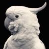 ivandiezb