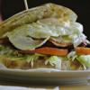 francesc Torres Molina