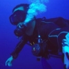 CholoDiver