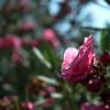karim_fotografia