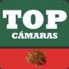 AndreaMX