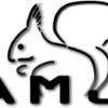 amj