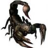 SCORPIONSXP