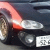 Taniko
