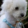 Susy