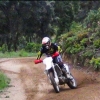 shcwantz_34