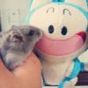 Nathy
