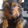 Lucas 3