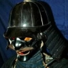 morrokoy