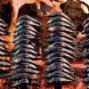 sohail