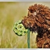 nessy_07_
