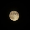 nosmi_891