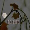 Llimo