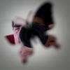 roberto_risco