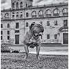Mustallar1924