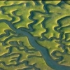 Doñana