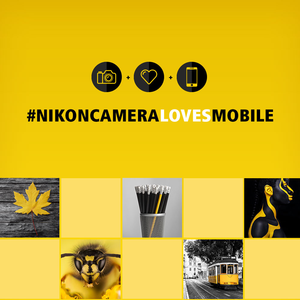instagram-2019yellow.jpg