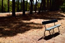 (5) Banco � 50mm f/1.4G; f/1.4 y v: 1/3200s; ISO 64; picture control: Intenso (VI) ; modo de exposici�n: Manual
