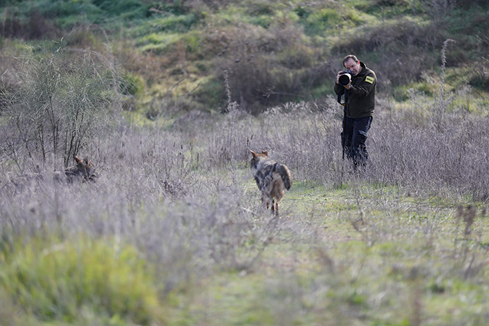 "Lobos" por Carlos Romero | Mart�n Iglesias