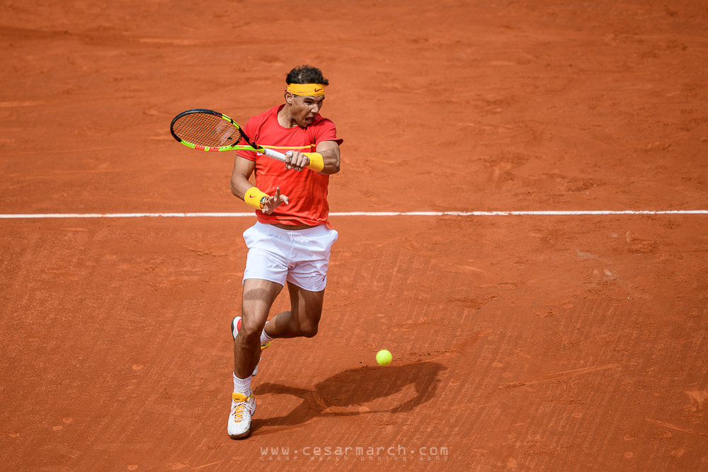 Nikon D850 | NIKKOR 400mm f2,8 1/5000 ISO320 � RAW L | �C�sar March - Copa Davis