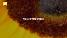 Nikon Unveiled | Fotograf�a Macro