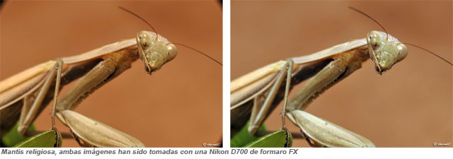 Fotos78 640