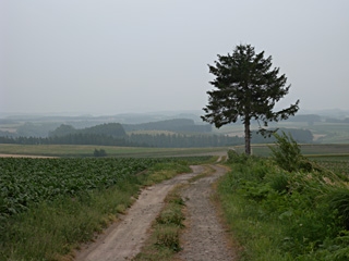 PaisajeP6000
