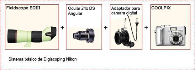 Sistema Digisc