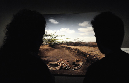 World Press Photo 2
