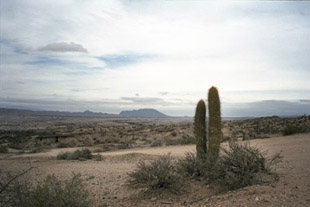 valleLuna03